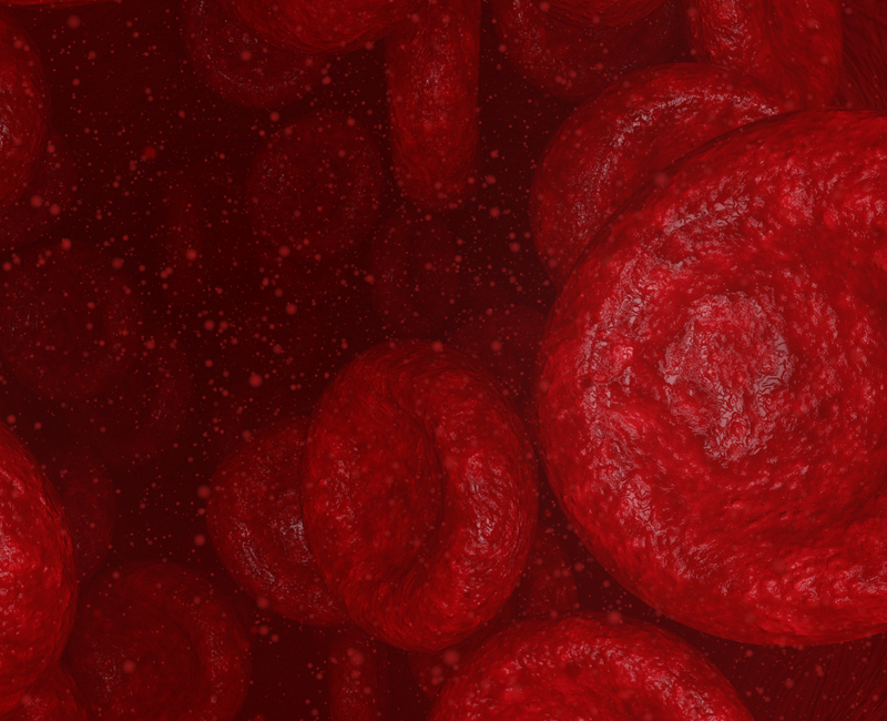 Red Blood Cells Flow
