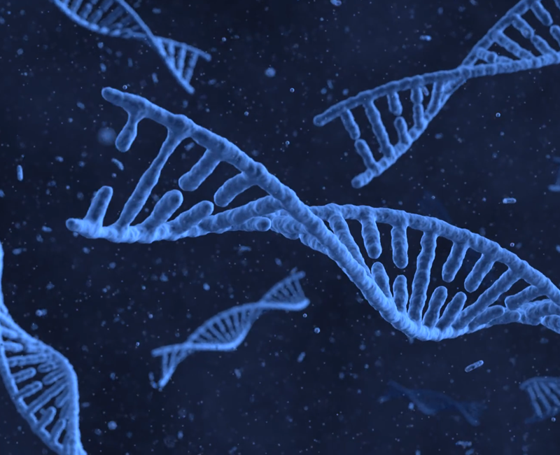 DNA Strand